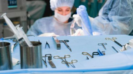 En datos: España registra el máximo histórico de trasplantes de médula ósea en 2023
