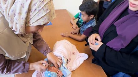 Gaza: Pausas en los combates suficientes para que miles de niños se vacunen contra la polio