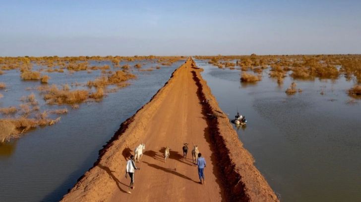 Impactante revelación: Por qué los refugiados son las primeras víctimas del cambio climático