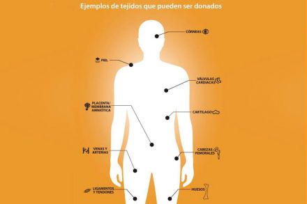 Un total de 6.780 personas donaron tejidos en España en 2023