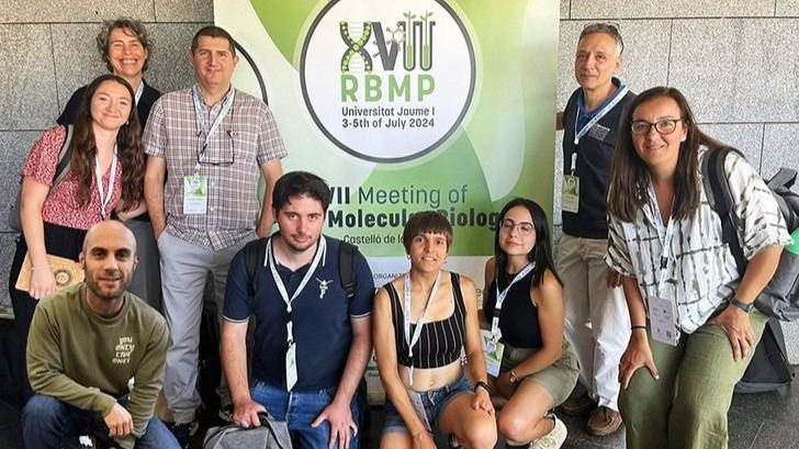 Investigadores mejoran el valor nutricional de cultivos mediante ingeniería metabólica