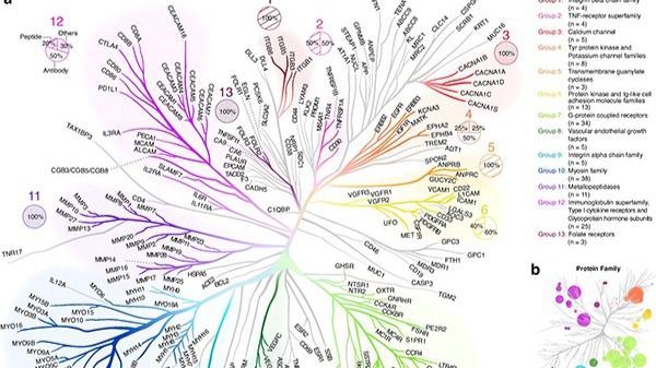 Descubren nuevos genes que podrían revolucionar el tratamiento del cáncer