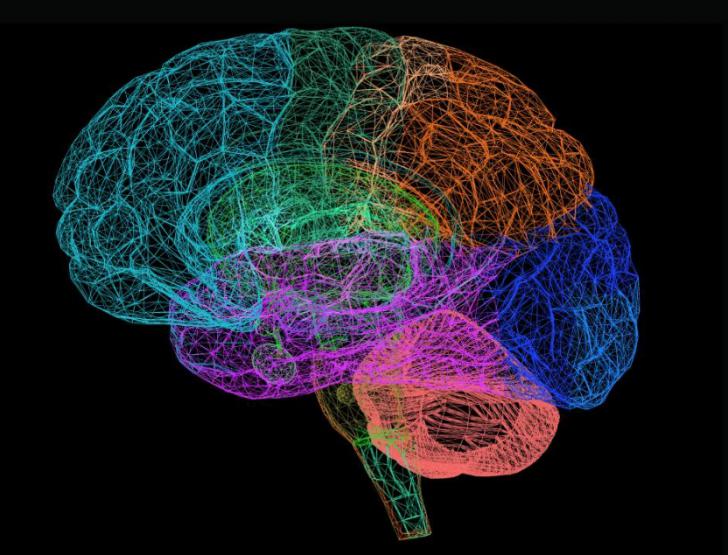 El cerebro elabora mapas más complejos para orientarse y recordar