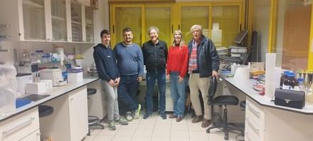 Investigadores logran producir testosterona de forma ecológica en laboratorio