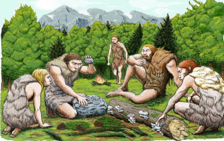 Neandertales: adaptabilidad en climas cálidos revelada por nuevos estudios