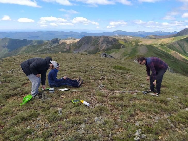 Estudio revela que el calentamiento climático anticipará la germinación de plantas alpinas en casi dos meses