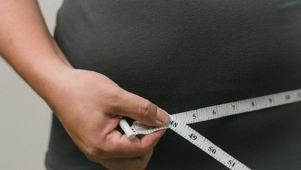 Avance en la lucha contra la obesidad: Una proteína clave mejora el gasto energético